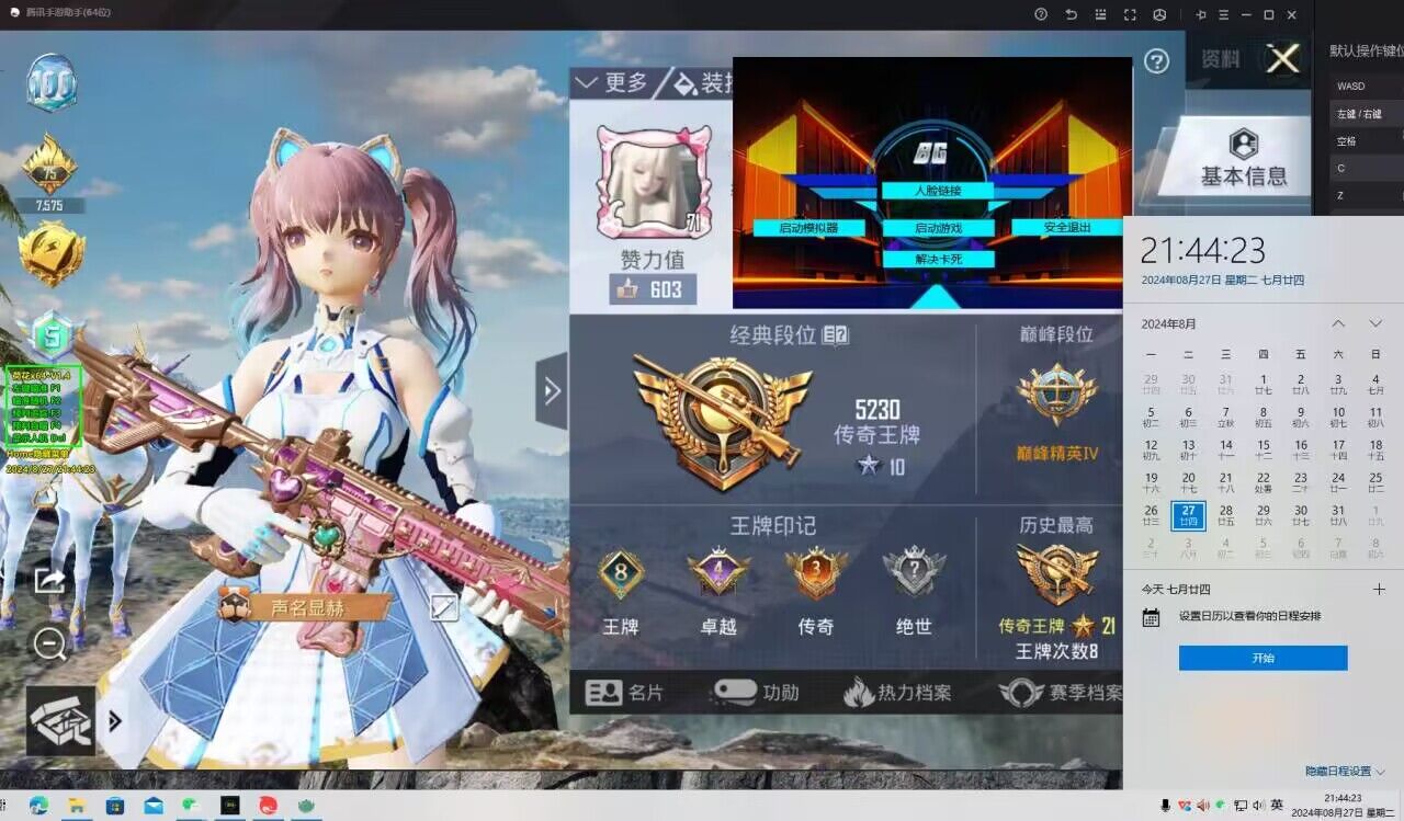 和平精英大圈圈辅助怎么开（和平精英辅助准星怎么开）